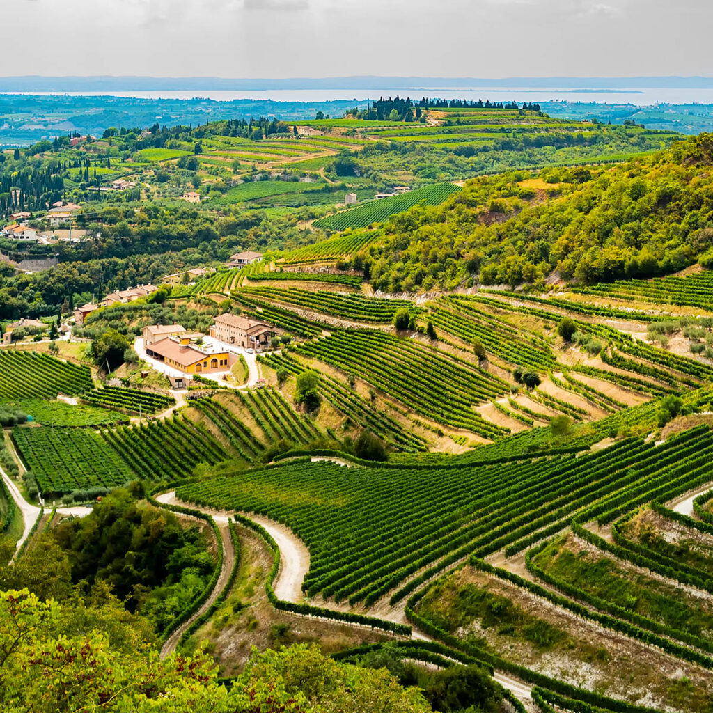 città di Verona, colline della Valpolicella, sponda del Lago di Garda, Veneto